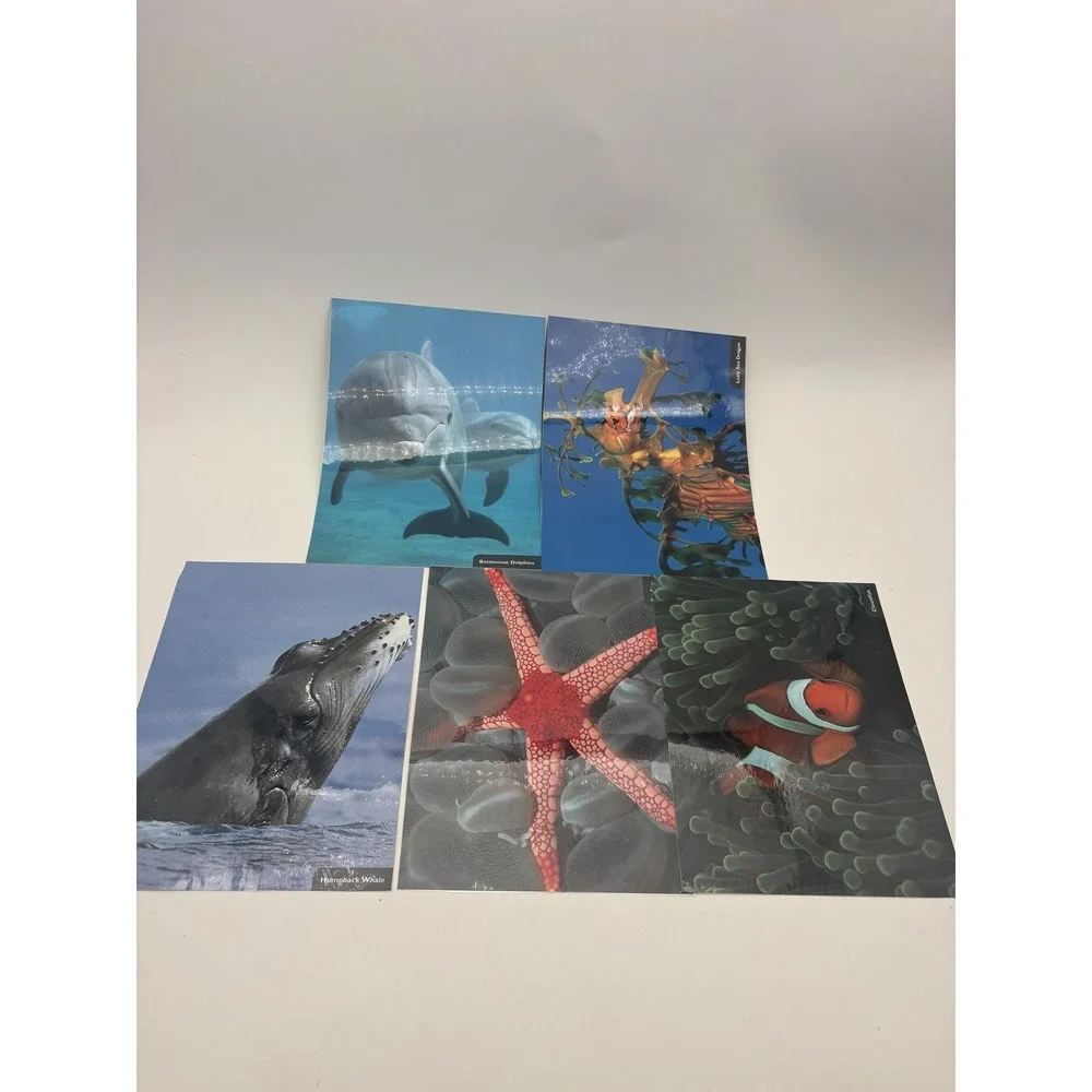 Ocean Animals Fact Sheets &‎ Photo Cards Lot 11 Marine Life Educational Set